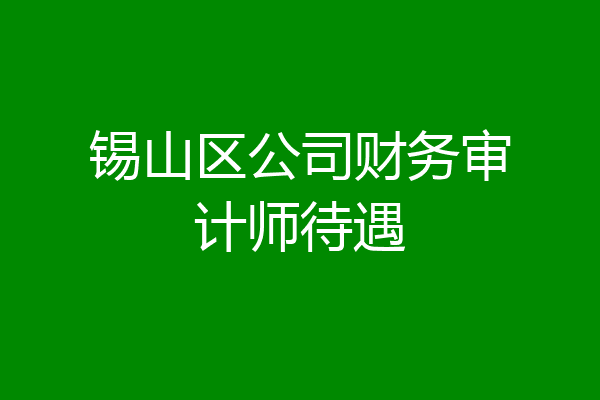 锡山区公司财务审计师待遇