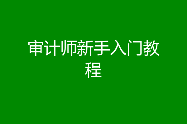 审计师新手入门教程