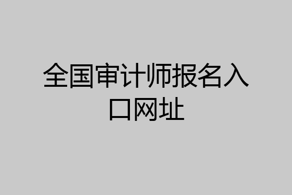 全国审计师报名入口网址