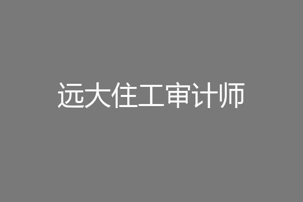 远大住工审计师