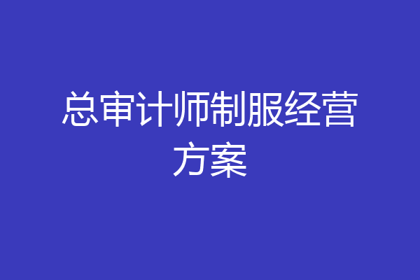 总审计师制服经营方案