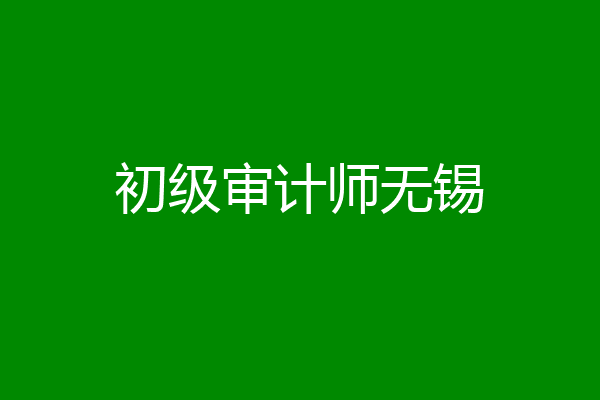 初级审计师无锡
