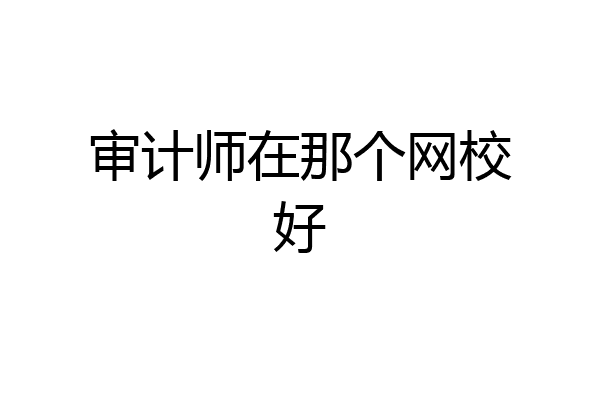 审计师在那个网校好