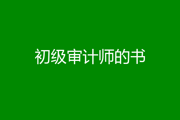 初级审计师的书