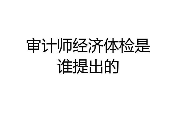 审计师经济体检是谁提出的
