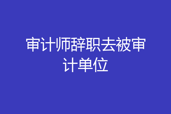 审计师辞职去被审计单位