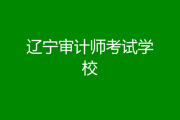 辽宁审计师考试学校