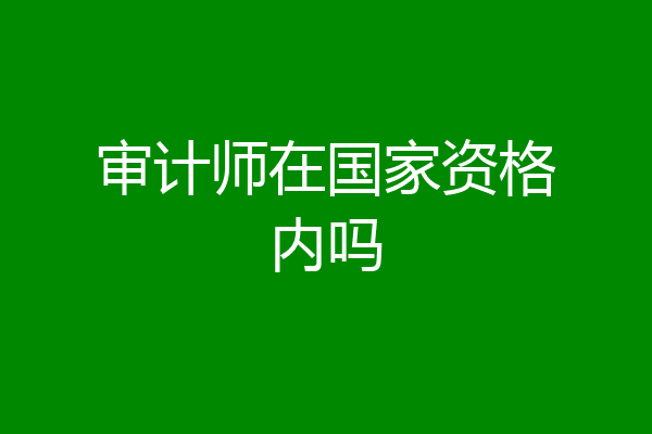 审计师在国家资格内吗