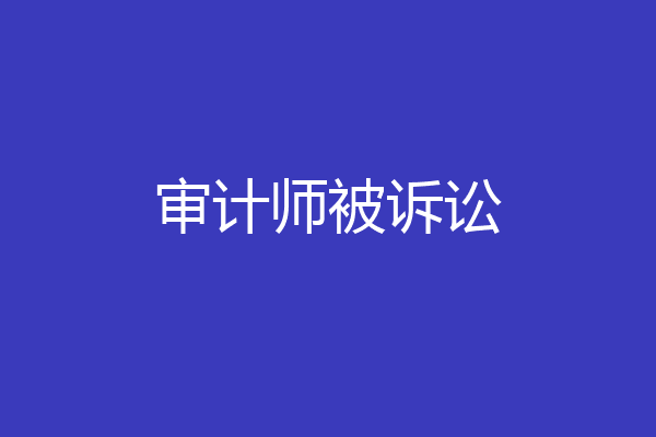 审计师被诉讼