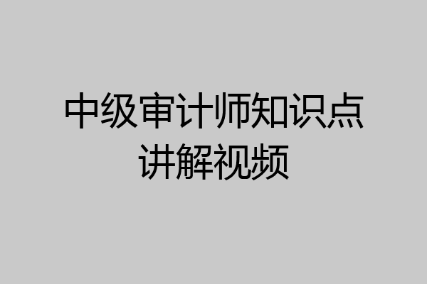 中级审计师知识点讲解视频
