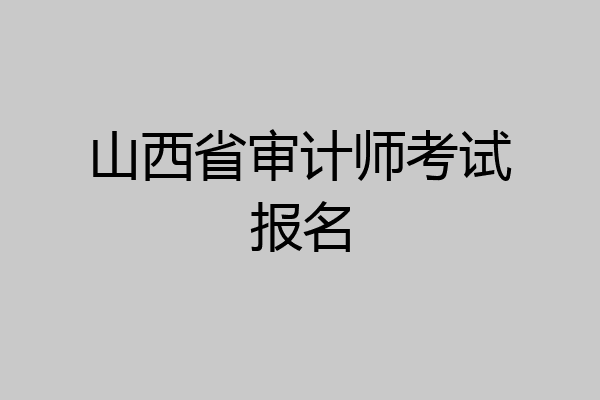 山西省审计师考试报名