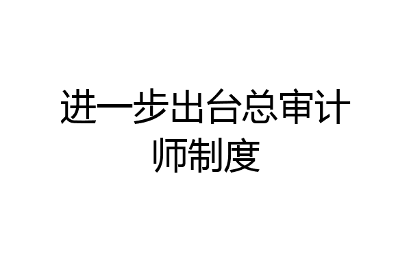 进一步出台总审计师制度