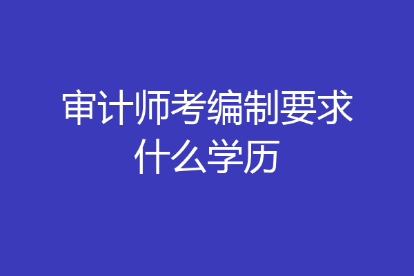 审计师考编制要求什么学历