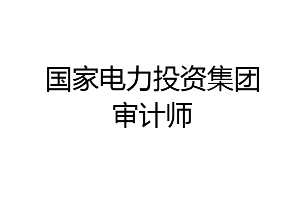国家电力投资集团审计师