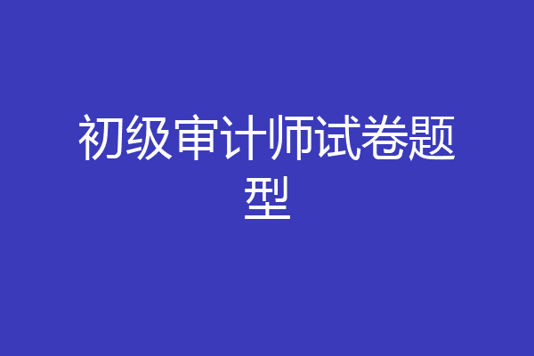 初级审计师试卷题型
