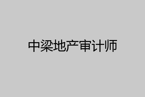 中梁地产审计师