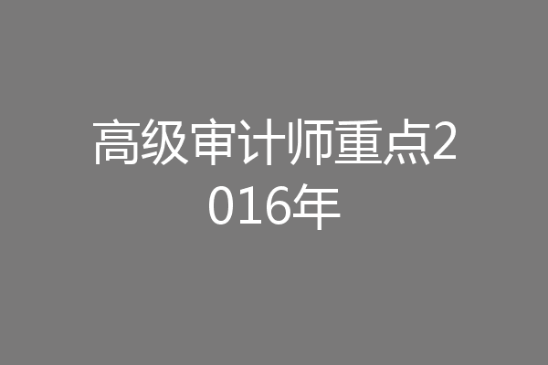 高级审计师重点2016年