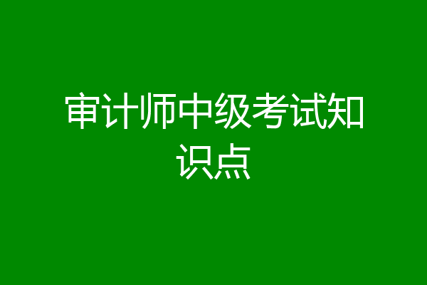 审计师中级考试知识点