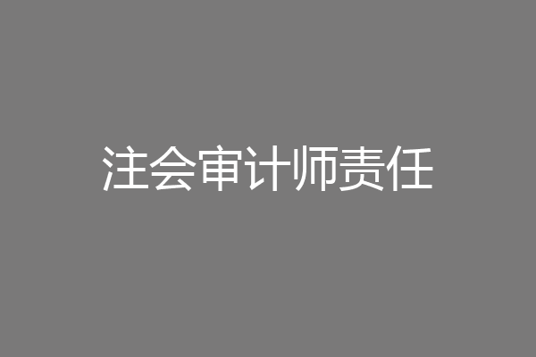 注会审计师责任
