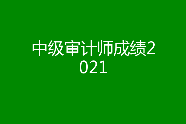 中级审计师成绩2021