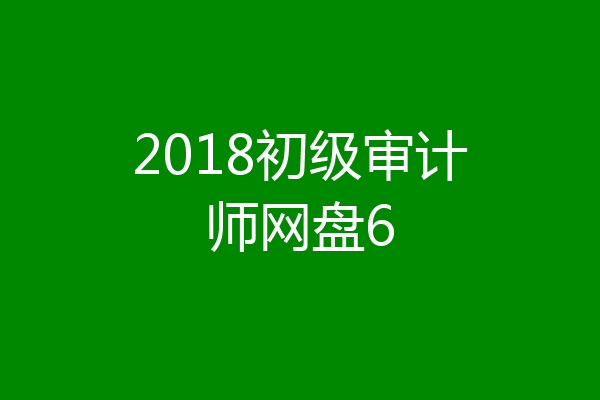 2018初级审计师网盘6