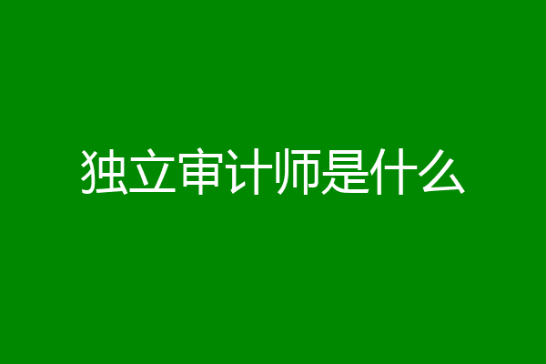 独立审计师是什么
