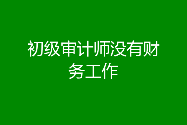 初级审计师没有财务工作