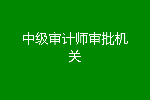 中级审计师审批机关