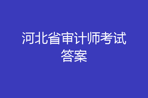 河北省审计师考试答案