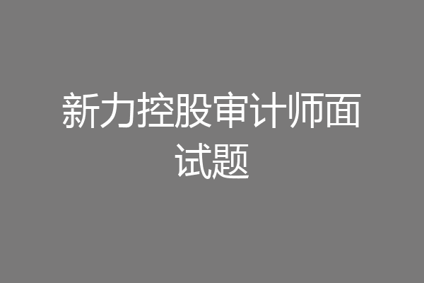 新力控股审计师面试题