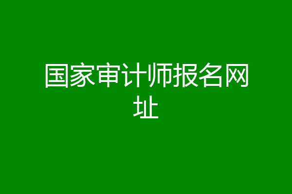 国家审计师报名网址