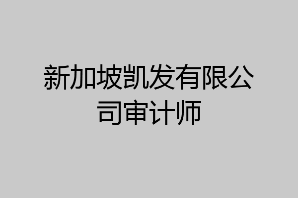 新加坡凯发有限公司审计师