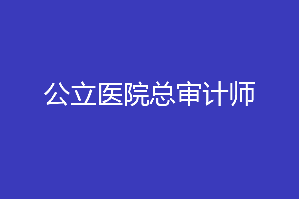 公立医院总审计师