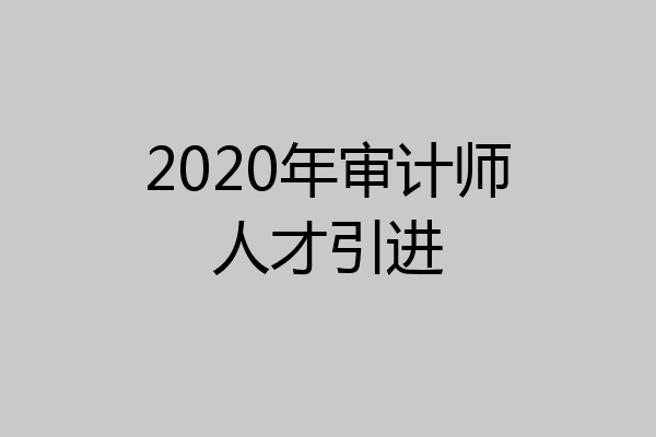 2020年审计师人才引进