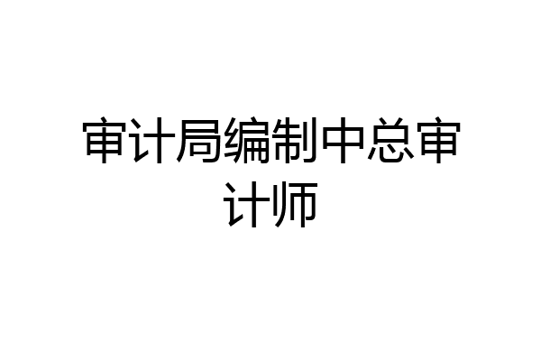 审计局编制中总审计师