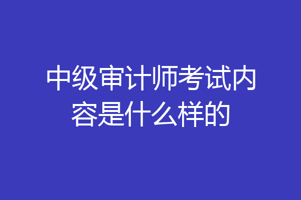 中级审计师考试内容是什么样的