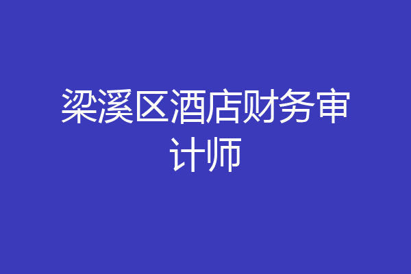 梁溪区酒店财务审计师