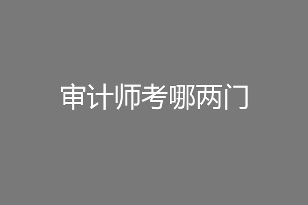 审计师考哪两门