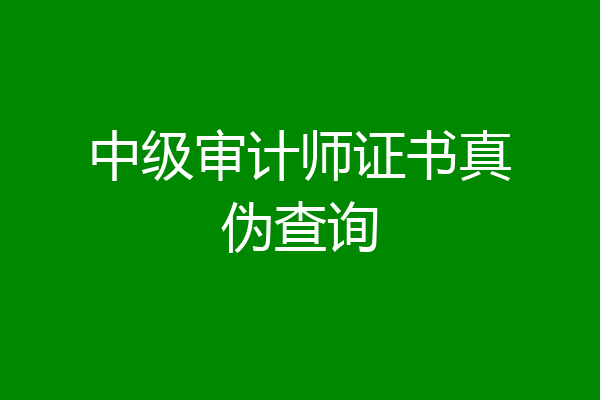 中级审计师证书真伪查询