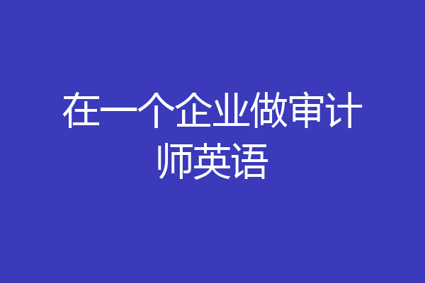 在一个企业做审计师英语