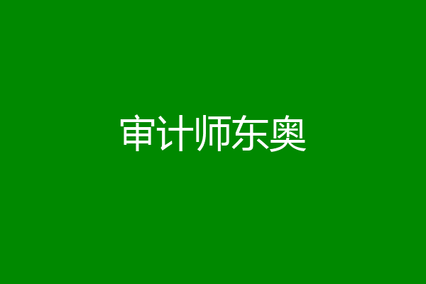 审计师东奥