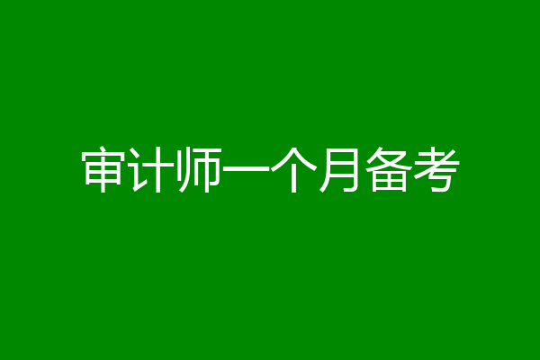 审计师一个月备考