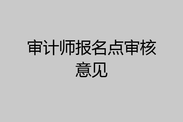 审计师报名点审核意见