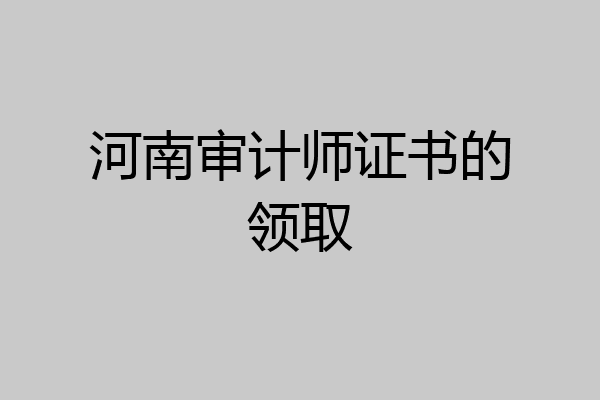 河南审计师证书的领取