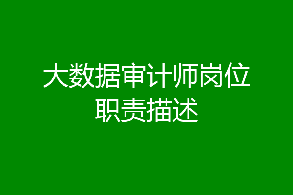 大数据审计师岗位职责描述