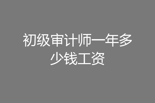 初级审计师一年多少钱工资