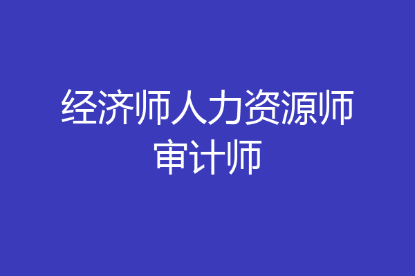 经济师人力资源师审计师