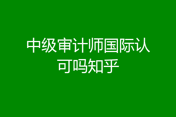 中级审计师国际认可吗知乎