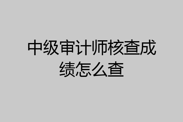 中级审计师核查成绩怎么查