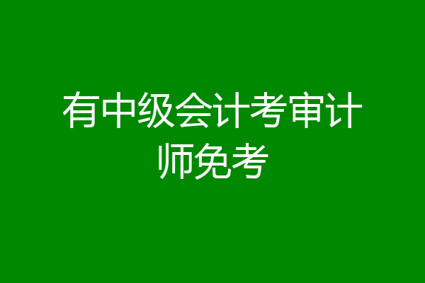 有中级会计考审计师免考